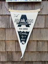 Load image into Gallery viewer, Avalon Classic - Surf Beach Flag
