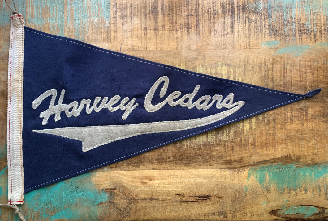 Harvey Cedars LBI NJ Surf flag - pennant