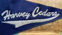 Load image into Gallery viewer, Harvey Cedars LBI NJ Surf flag - pennant
